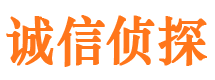 晋安市侦探公司